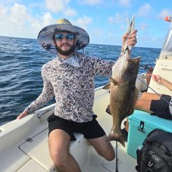 Gag Grouper caught while fishing in Crawfordville