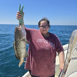 Gag grouper caught while fishing in Crawfordville FL waters
