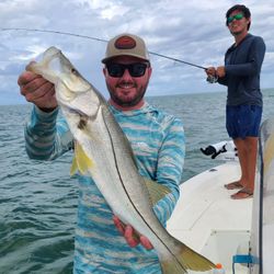 A big snook fish caught while fishing in FL