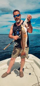 Redfish caught while fishing in FL