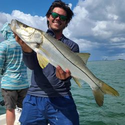 Snook fishing in FL