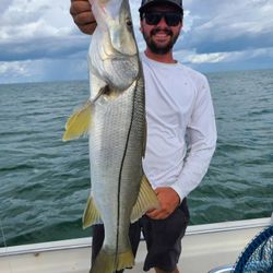 Snook fishing in FL