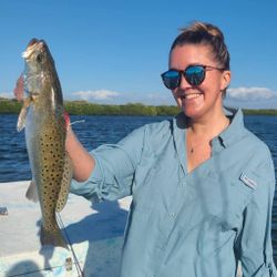 Spotted Weakfish caught in Crawfordville