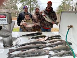 SC  striper fishing