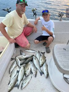 Striper Guides