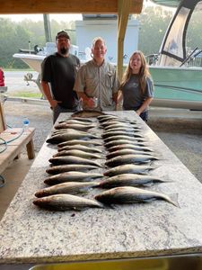 Fish in Clarks Hill Lake