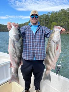 Big striped bass