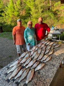 Best fishing spots near me in SC