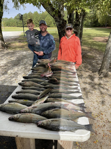 3 striped bass caught in SC