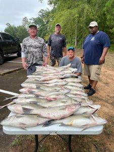 Lakes near me to fish in SC