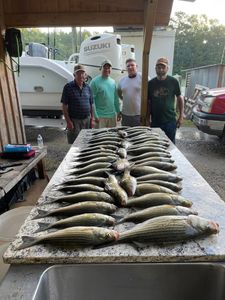 Hybrid Fishing in South Carolina