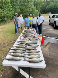 Clarks Hill Lake Guided Fishing