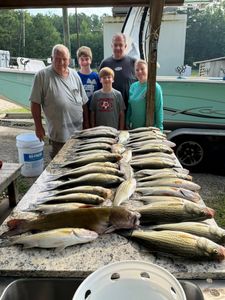 5 anglers reeling in their catch in SC