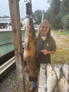 Angler fishing in SC