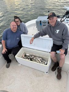 Three people fishing in North Augusta