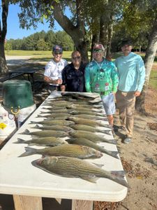 Two wiper and striped bass fish caught in SC
