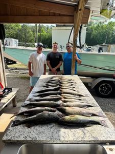 Fresh caught fish displayed on cleaning table after successful fishing trip in North Augusta SC