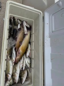 Two fishing rods and tackle bag in North Augusta