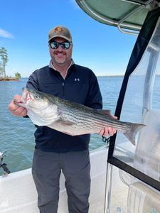 Striped bass caught in North Augusta