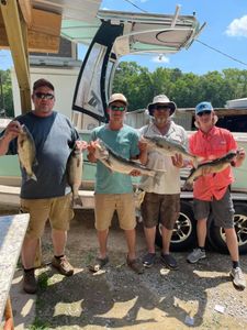 5 fishing in SC