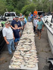 Three striped bass caught while fishing in SC