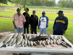 Two wiper (hybrid striped bass) fish, fishing in SC