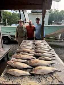 Large catch of white bass and mixed fish species displayed on cleaning table at North Augusta SC fishing dock with boats in background