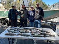 Two white bass caught during a fishing trip in SC