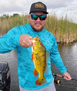 Catch, release, repeat in Fort Lauderdale