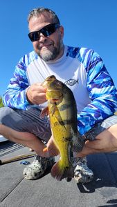 Cool Vibe Fishing!! 