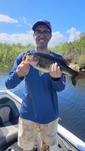 Beautiful Husky Everglades Bass!