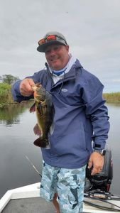 Fish-Species
