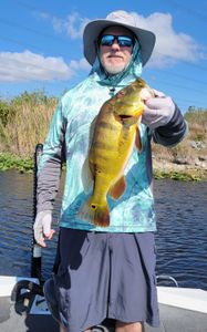 Fort Lauderdale bass bite alert!