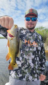 Fort Lauderdale bass fishing adventure