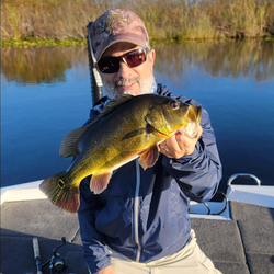 Angler fishing in Florida