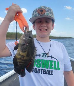 Angler holding a 12-inch oscar fish in Fort Lauderdale
