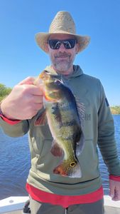 Fish-Species