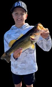 Fish-Species