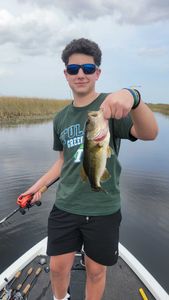 Fish-Species