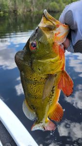 Hooked in Fort Lauderdale waters