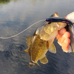 Fishing tour in Florida