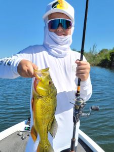 A person fishing in Florida with their equipment