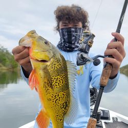 One person fishing in FL