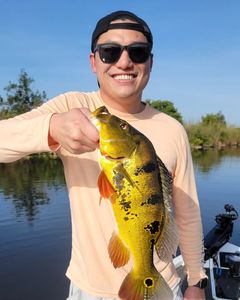 Angler fishing in Florida