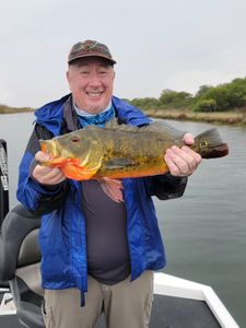 Angler fishing in Florida
