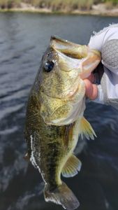 Fishing tour in FL