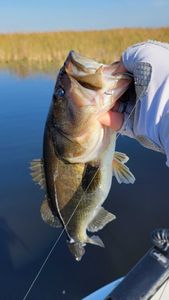 Fishing tour in the beautiful city of Fort Lauderdale