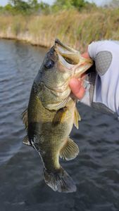 An angler enjoying a fishing tour in the scenic waters of Fort Lauderdale