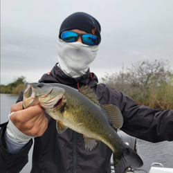 Angler fishing in Fort Lauderdale