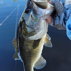 Fishing tour in Fort Lauderdale, Florida